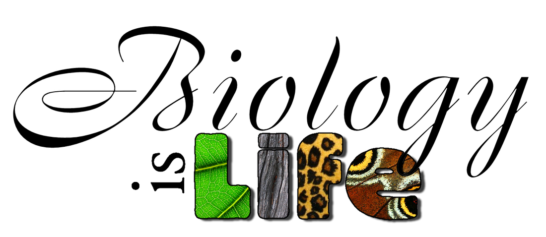 biology clipart calligraphy