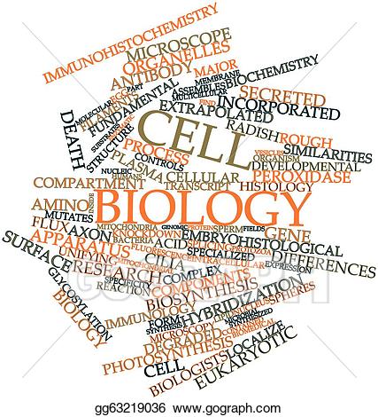 biology clipart cell biology