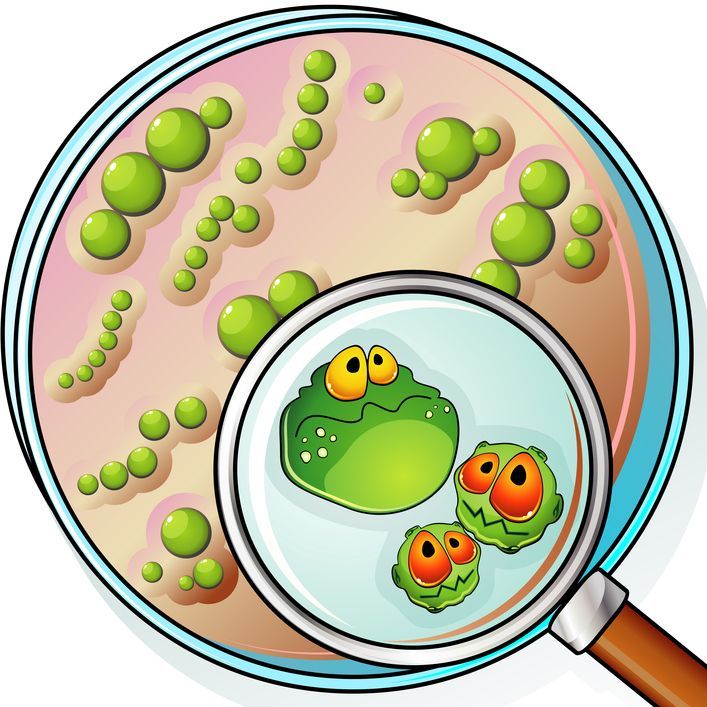 biology clipart cell culture