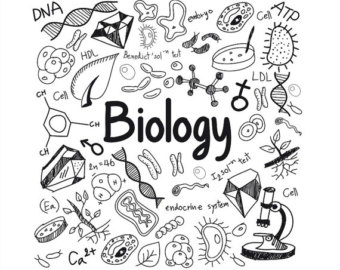 biology clipart creative