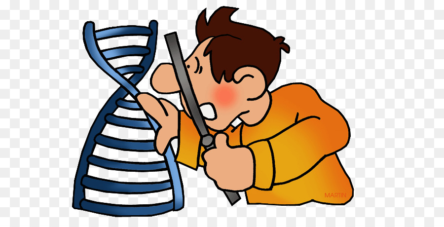 Biology clipart double helix. Dna nucleic acid gene