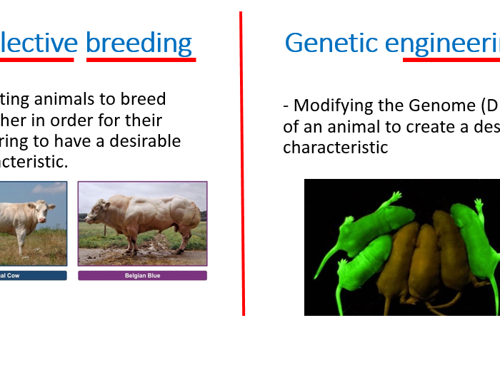 biology clipart genetic engineering
