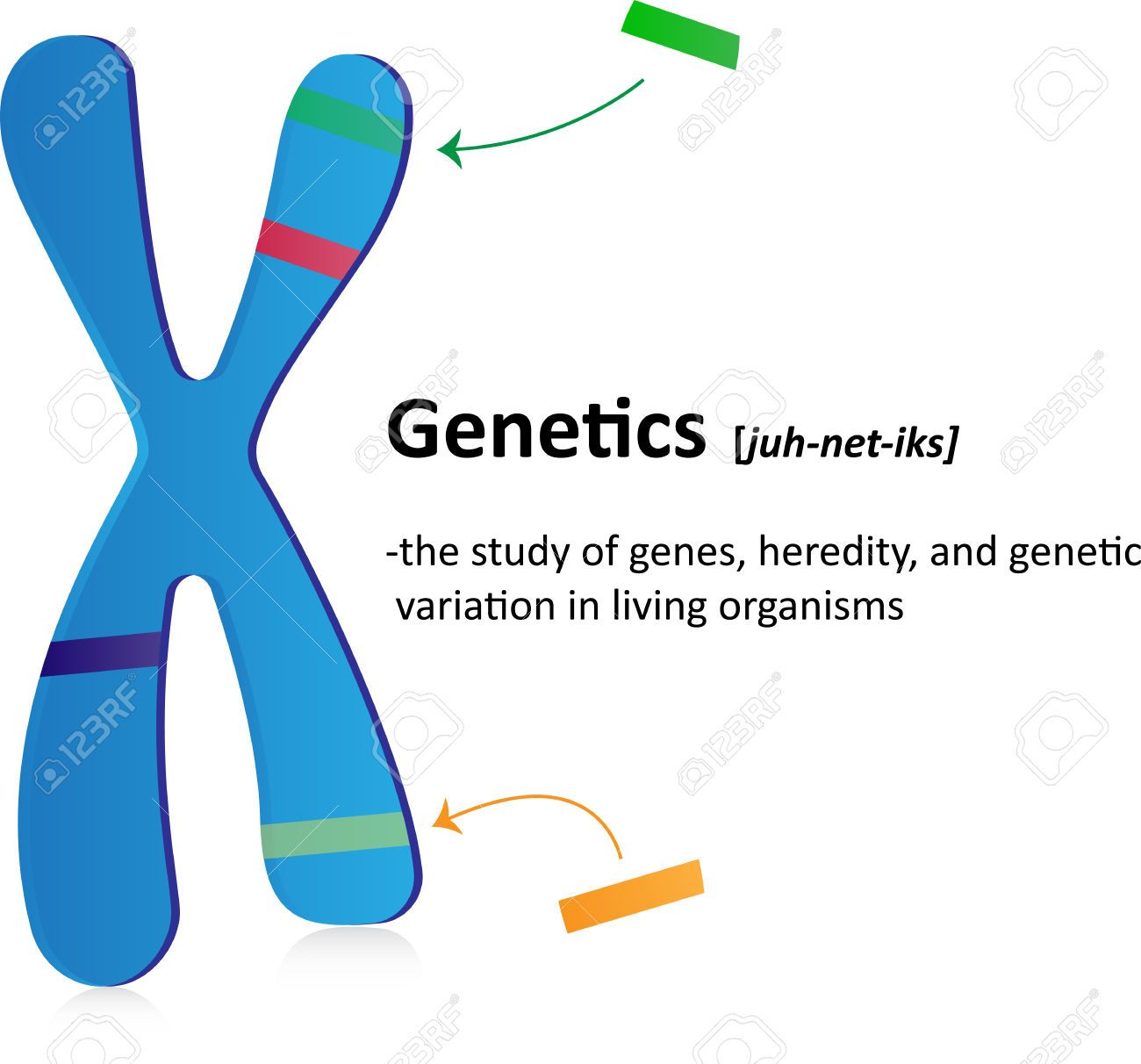 Biology clipart genetic engineering, Biology genetic engineering