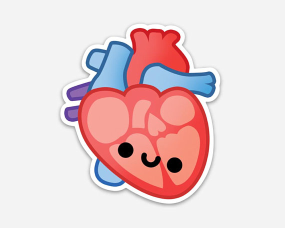 Biology clipart heart. Vinyl sticker laptop anatomy
