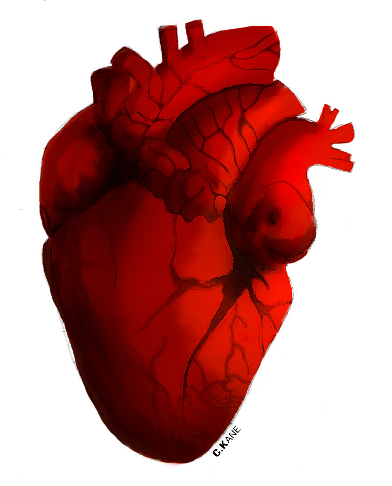 Biology clipart heart. Physics merges with to