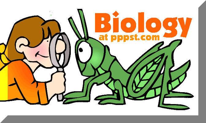 biology clipart kid