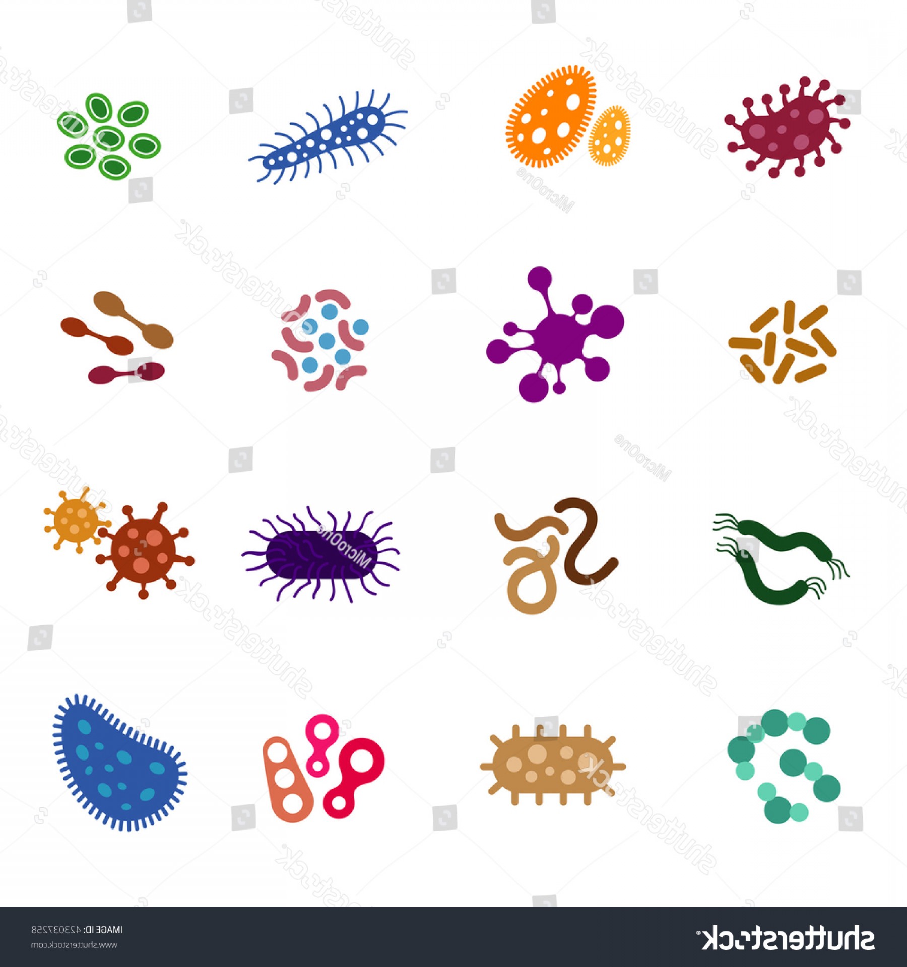 biology clipart microorganism