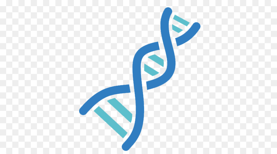 dna clipart molecular genetics