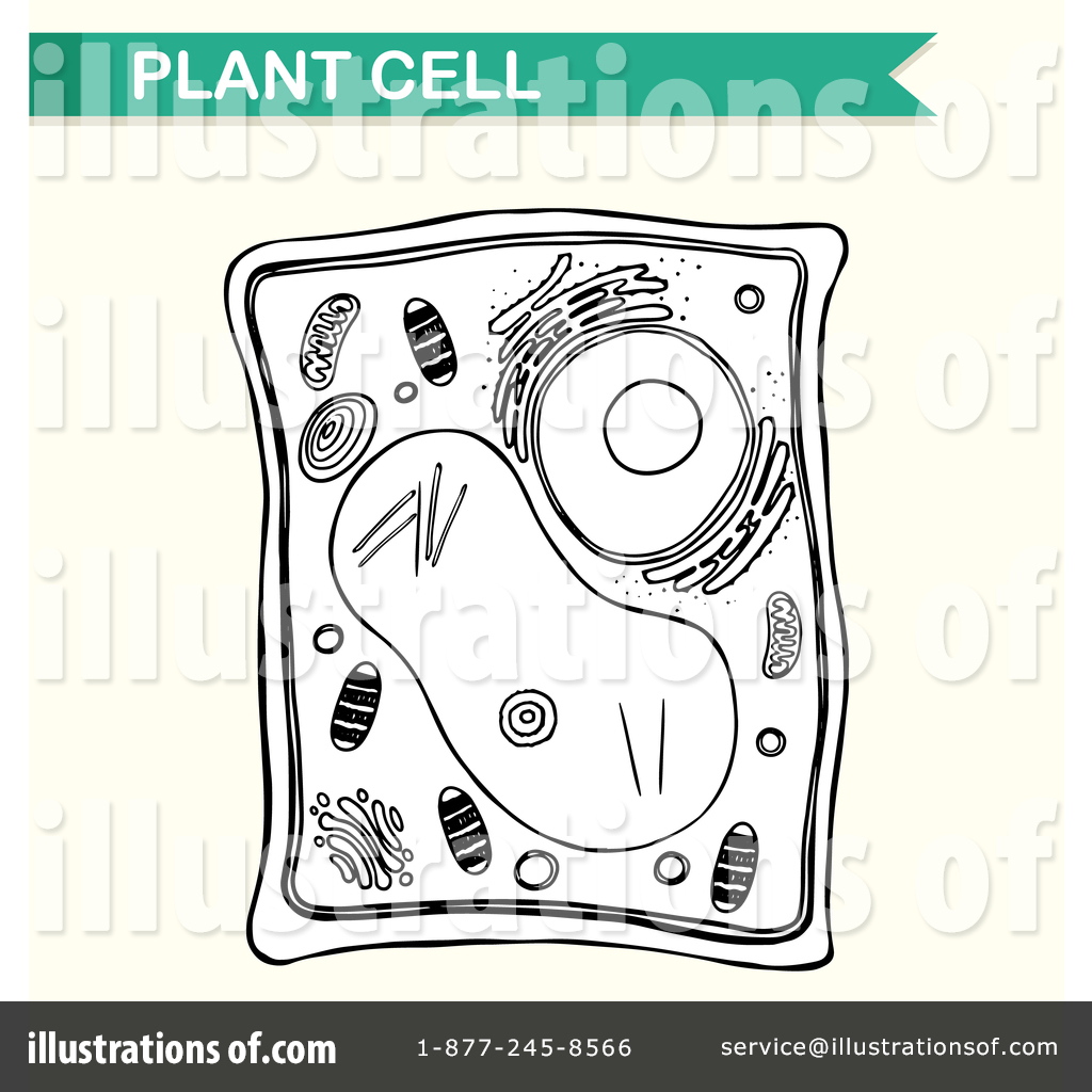 biology clipart plant biology