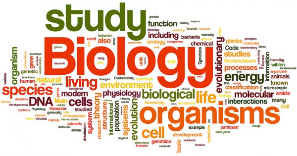 biology clipart word