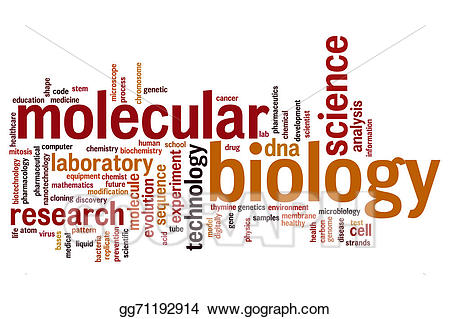 biology clipart word