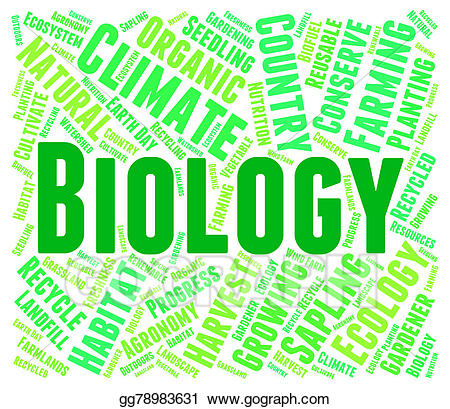 Word shows animal kingdom. Words clipart biology