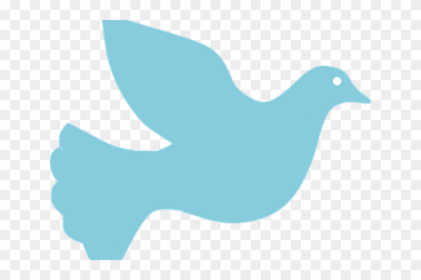 Dove hd png download. Pigeon clipart baptism