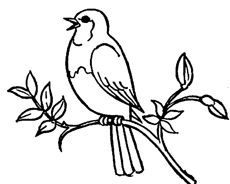 bird clipart black and white