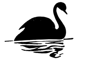 bird clipart black swan