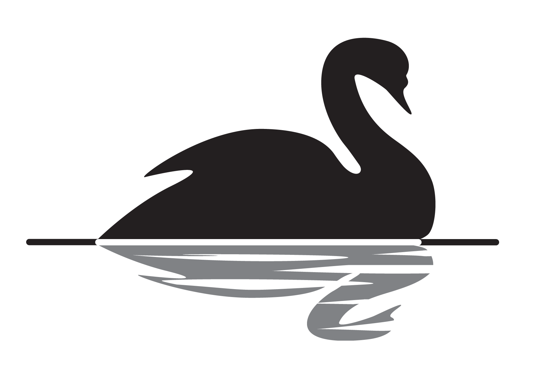 bird clipart black swan