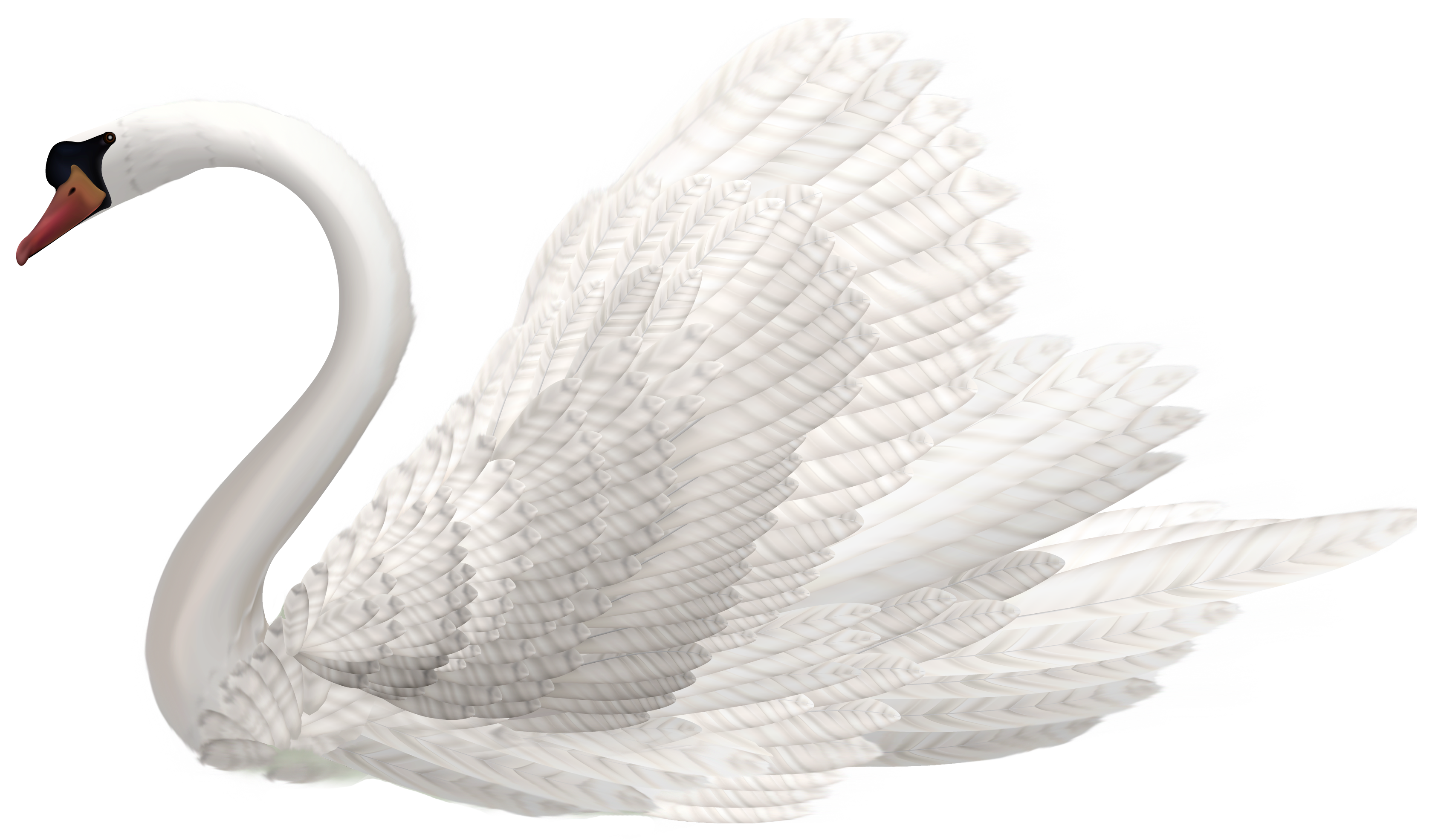 clipart heart swan