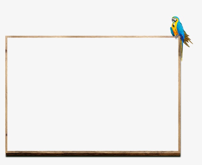 Bird clipart borders. Creative frame png and