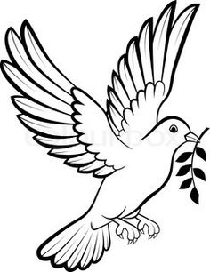 bird clipart dove