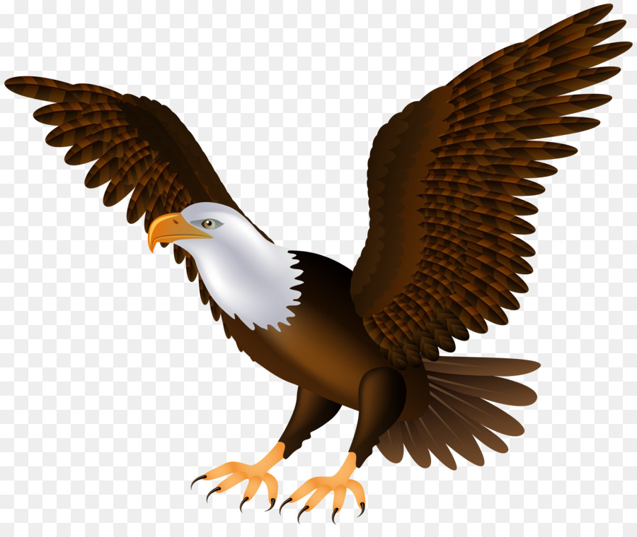 birds clipart eagle