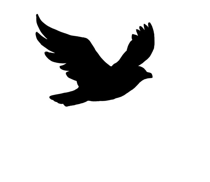  best international community. Birds clipart logo