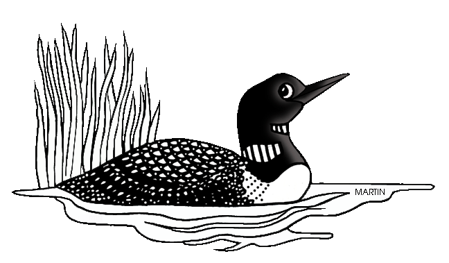 United states clip art. Birds clipart loon