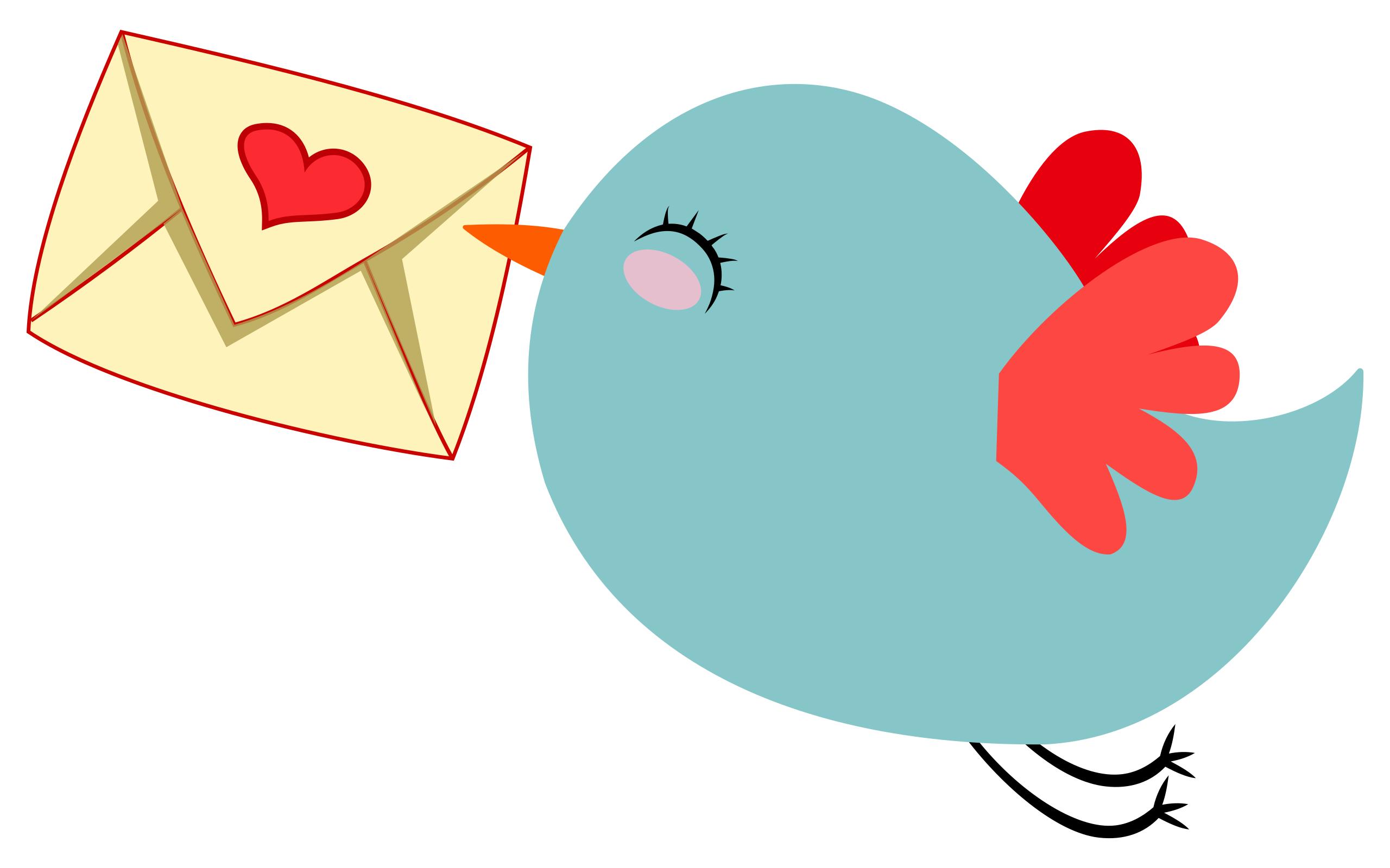 Bird mail