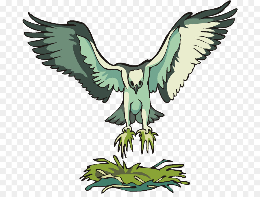 Eagle cartoon tree transparent. Clipart bird osprey