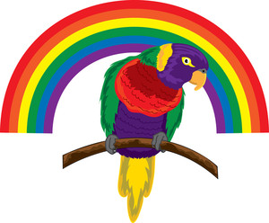 Bird clipart rainbow. Free parrot image clip