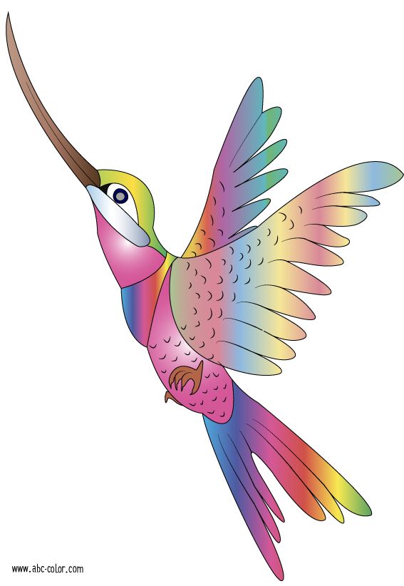 Bird clipart rainbow.  best hummingbirds images