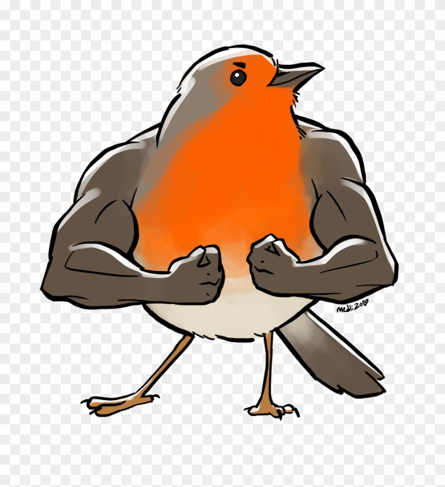 Clipart birds red robin. Png download pinclipart 