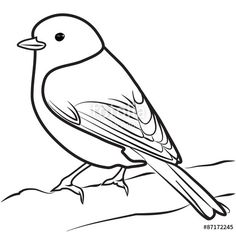 bird clipart sketch