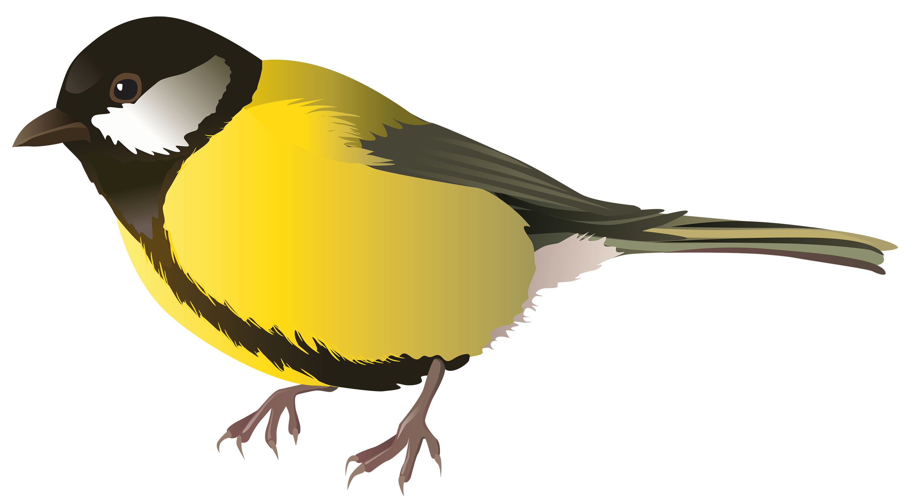 pet clipart yellow bird