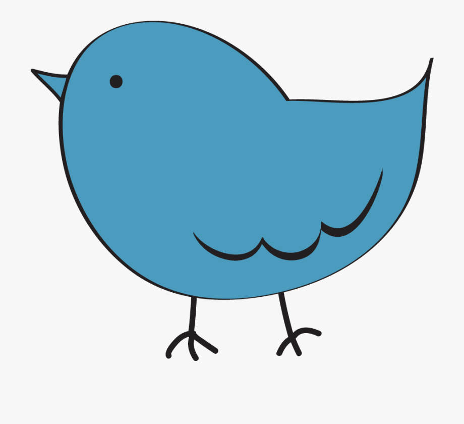 bird clipart transparent background