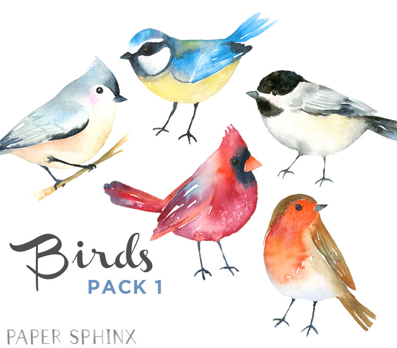 birds clipart watercolor