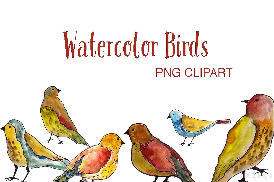 birds clipart watercolor