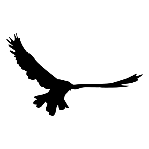 Flying sequence transparent svg. Bird vector png
