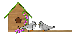 Birdhouse pigeon house