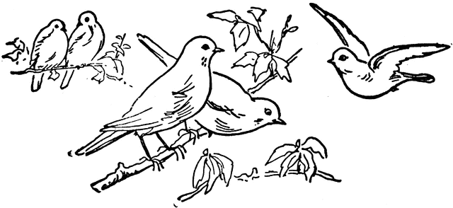 birds clipart black and white