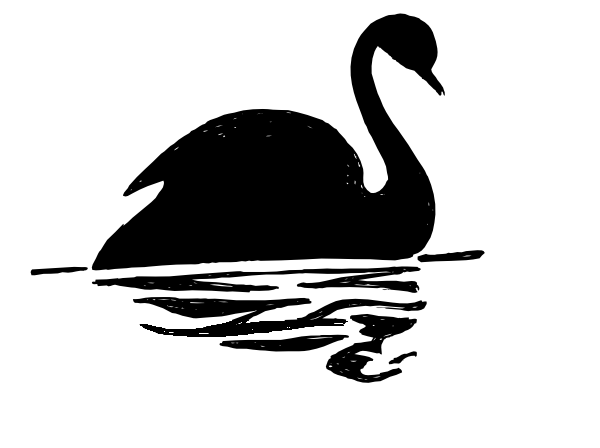birds clipart black swan