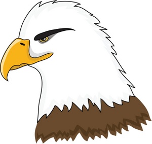 Eagle clipart artwork. Free bald image squinting