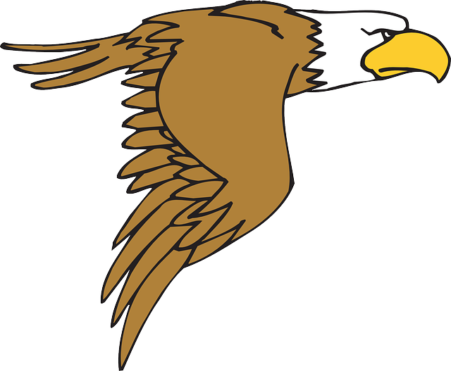 Eagle clipart body. Cartoon flying bird google