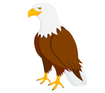 eagles clipart bird