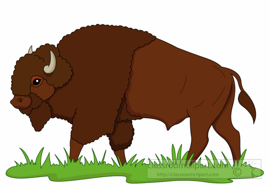 Animal on praire bisononpraireclipartjpg. Buffalo clipart bison