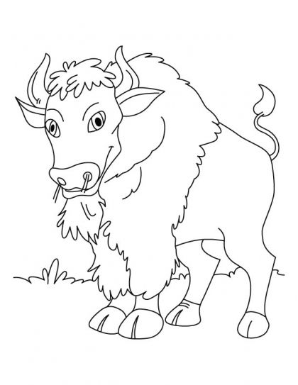 Goats head free on. Bison clipart baby bison