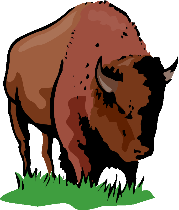 Free buffalo and bison. Yak clipart musk ox