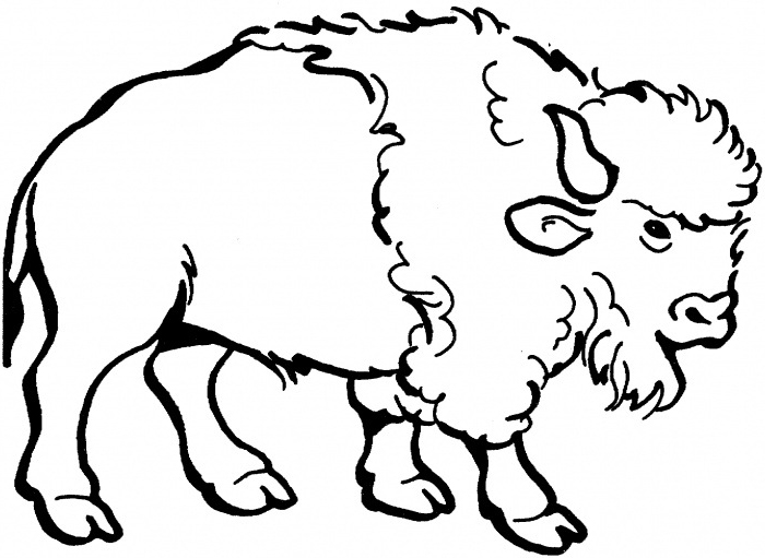Free cliparts download clip. Bison clipart black and white