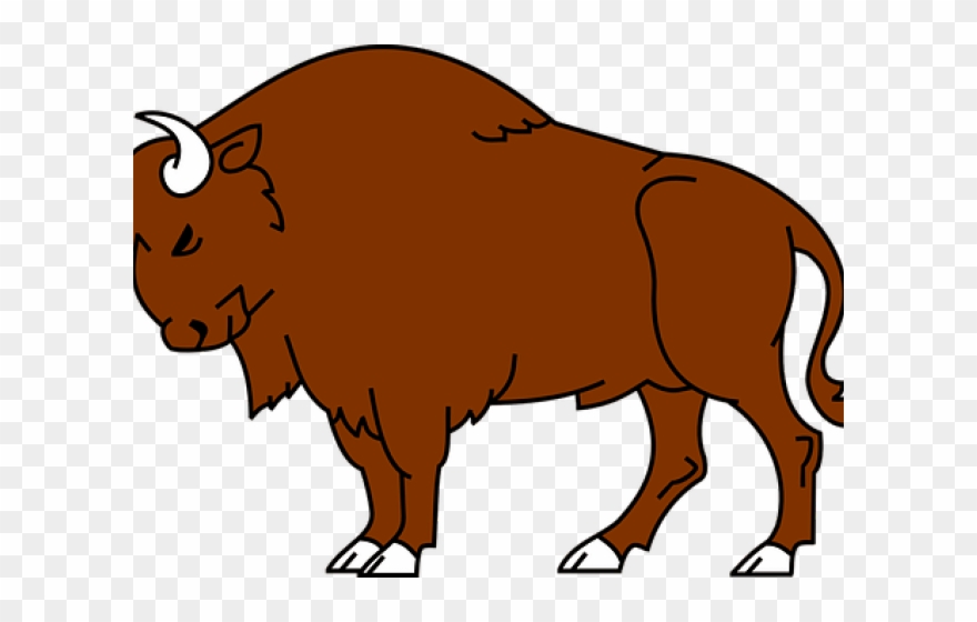 Bison clipart bufalo. Wild buffalo png download