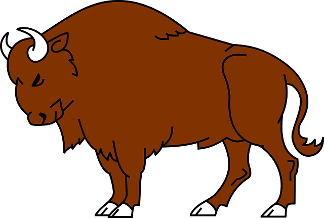 bison clipart buffallo