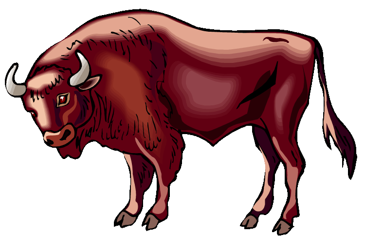 Buffalo clipart bison. Free charging